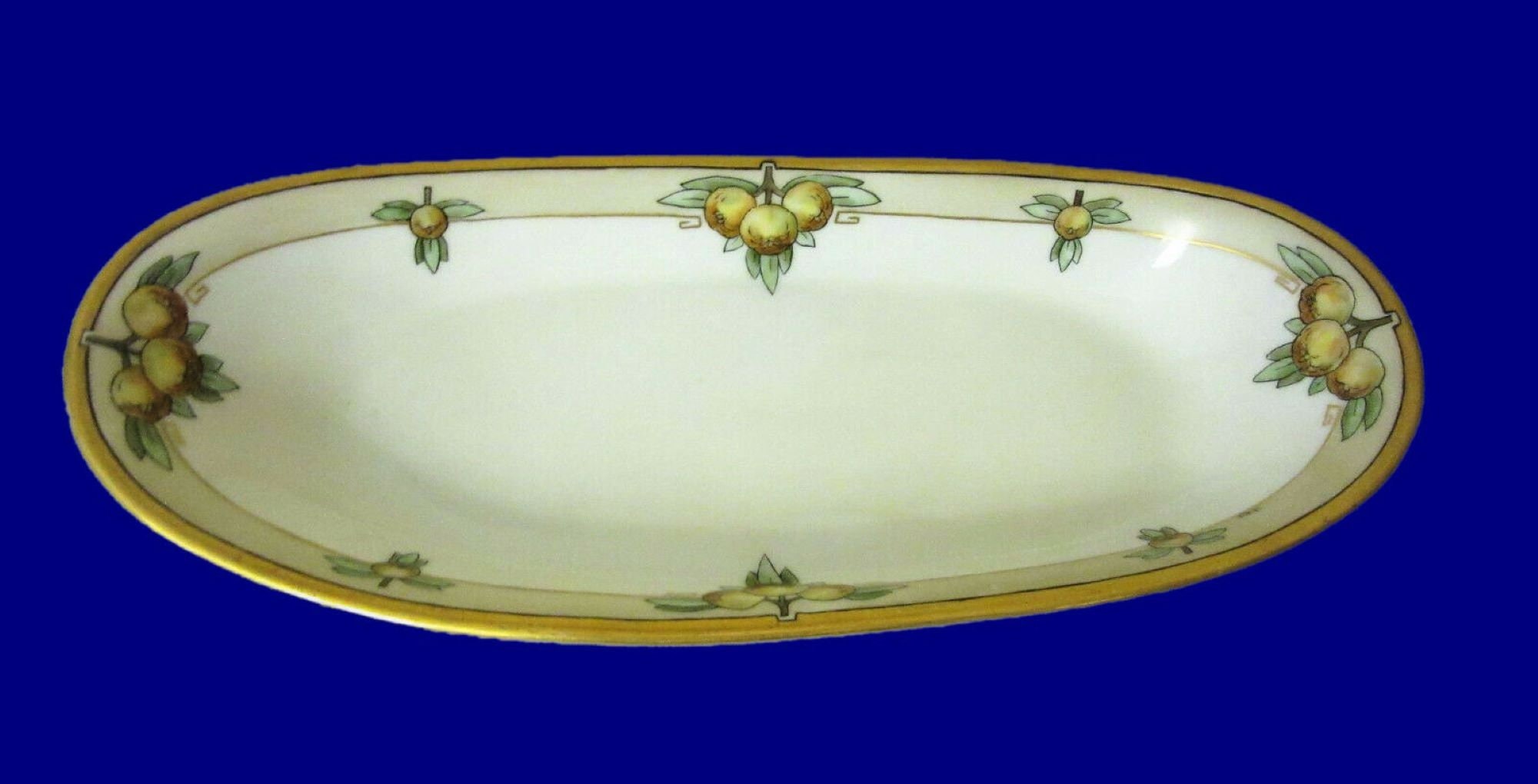 PH Leonard, Vienna Austria Antique 1900's Oblong Porcelain Platter