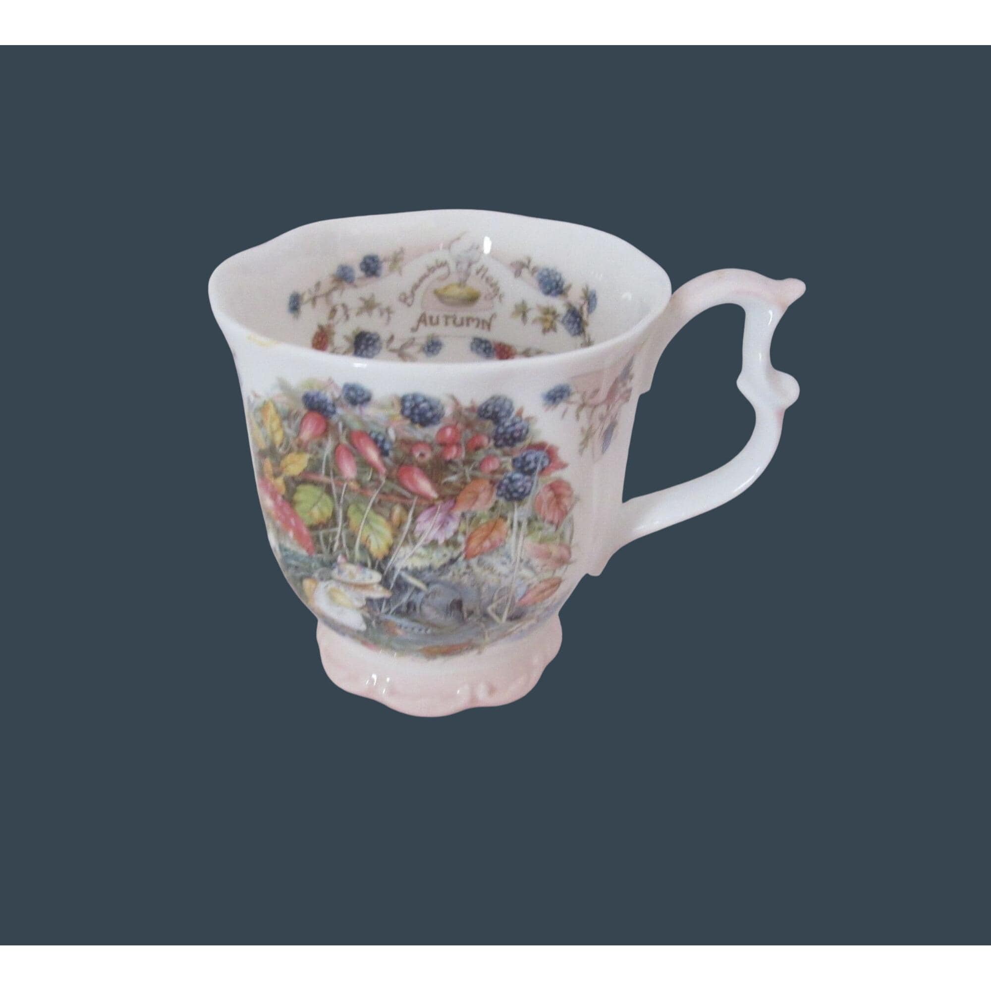 Brambly Hedge Autumn - Etsy