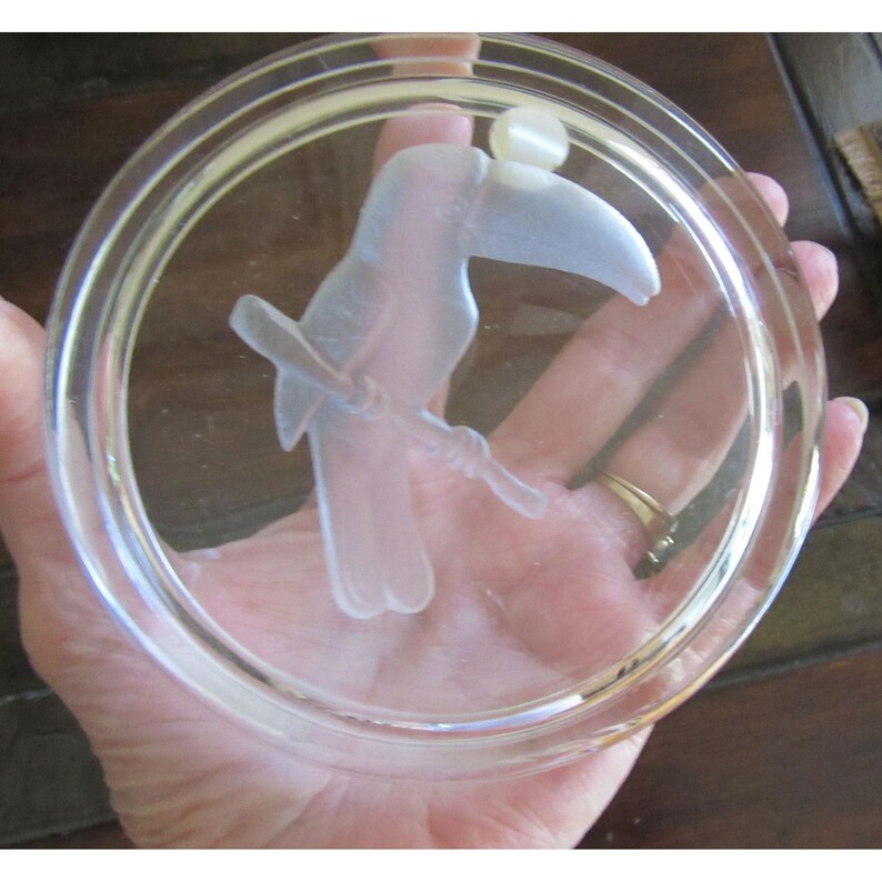 Puede incluir: Un posavasos de vidrio transparente con un dise&ntilde;o de tuc&aacute;n esmerilado. El tuc&aacute;n est&aacute; posado en una rama dentro de un marco circular. Un peque&ntilde;o detalle redondo y esmerilado se encuentra encima del pico del tuc&aacute;n. El posavasos se sostiene en una mano.