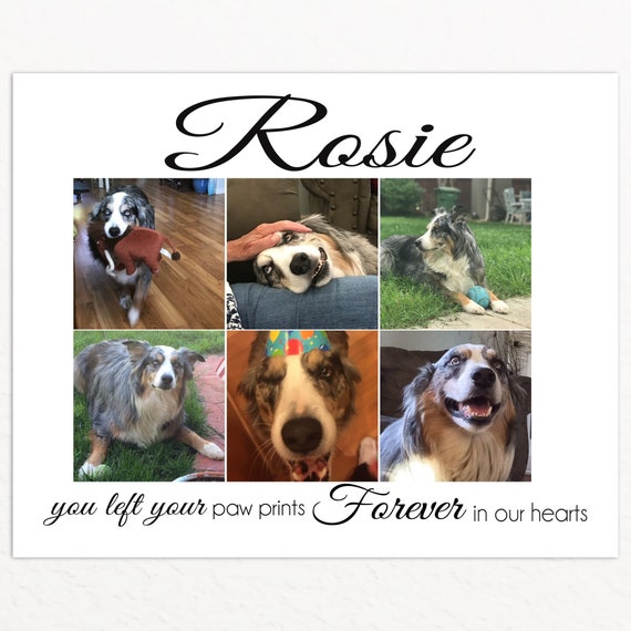 Art & Collectibles Prints Personalized Paw Print Collage for Pet Dog ...