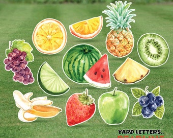 Fruta de acuarela - Paquete de hojas completas - Juego de tarjetas de jardín de 12 piezas