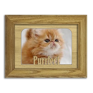 Purrfect Tabletop Picture Frame - Pet Cat Photo Frame - Holds 4x6 Photo - Cat Lover Gift, Cat Person, Furr Baby Present
