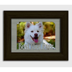 Best Dog Ever  Tabletop Picture Frame - Pet Photo Frame - Holds 4x6 Photo - Multiple Color Options