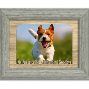 My Favorite Hello & Hardest Goodbye  Tabletop Picture Frame - Pet Photo Frame - Holds 4x6 Photo - Multiple Color Options