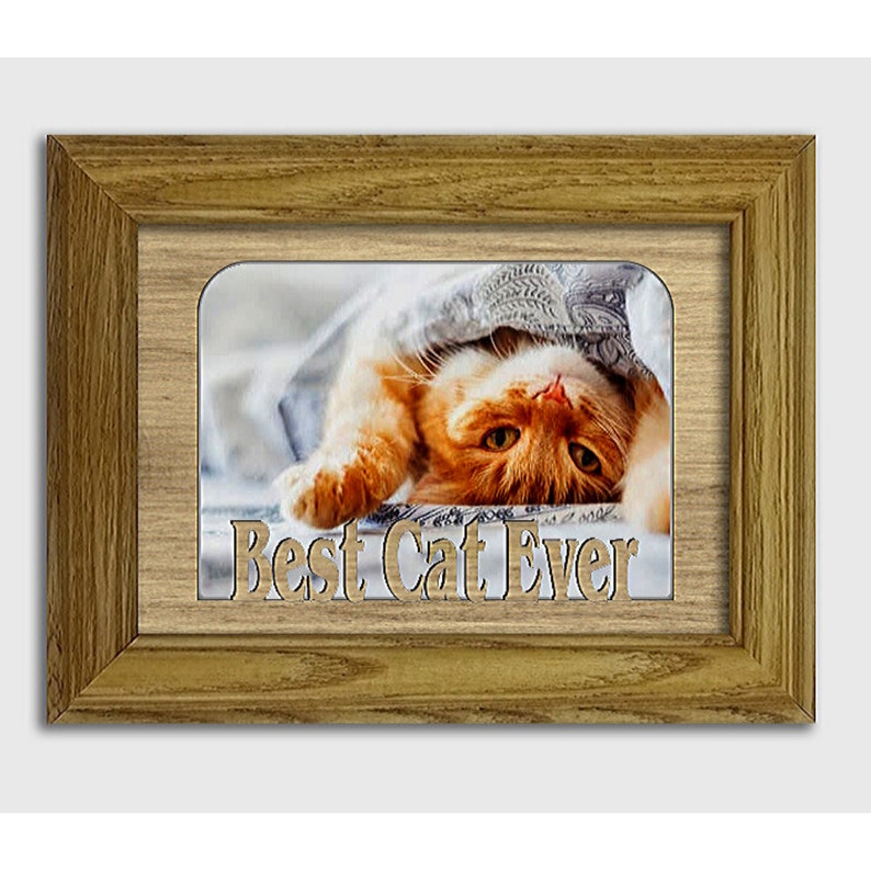 Best Cat Ever Tabletop Picture Frame Pet Photo Frame Holds Etsy