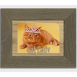 Cat Lady  Tabletop Picture Frame - Pet Photo Frame - Holds 4x6 Photo - Multiple Color Options