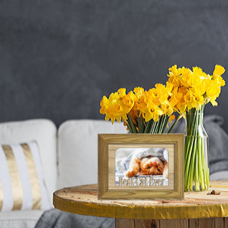 Best Cat Ever Tabletop Picture Frame Pet Photo Frame Holds Etsy