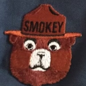 Smokey Bear-Patch, 2,5 Zoll hoch, ausgezeichnetes Detail für den Sammler. Bild 2