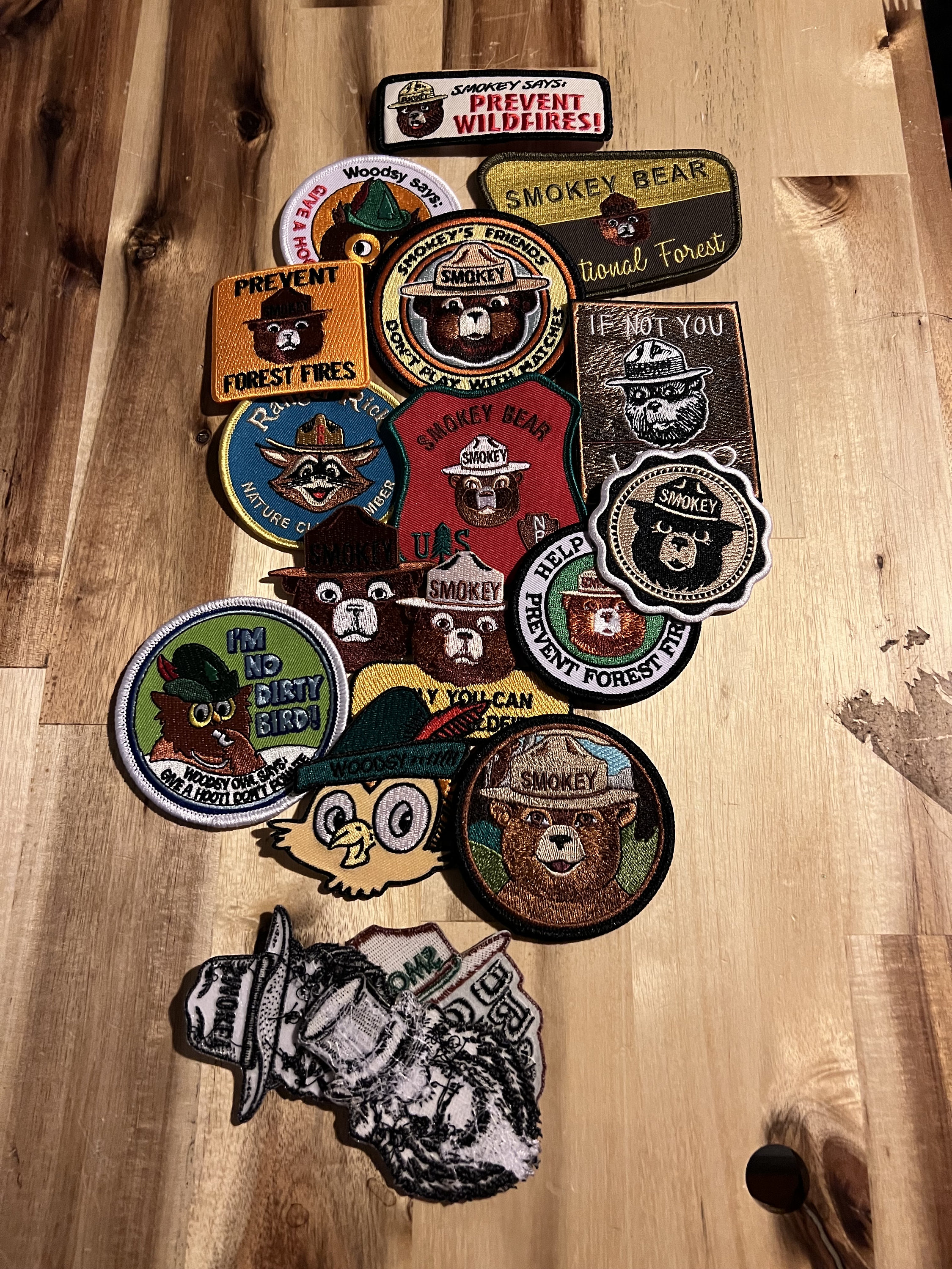 New Smokey Bear, Woodsy Owl, Ranger Rick Collection of Patches 15 Patches  in All Plus Extras - Etsy