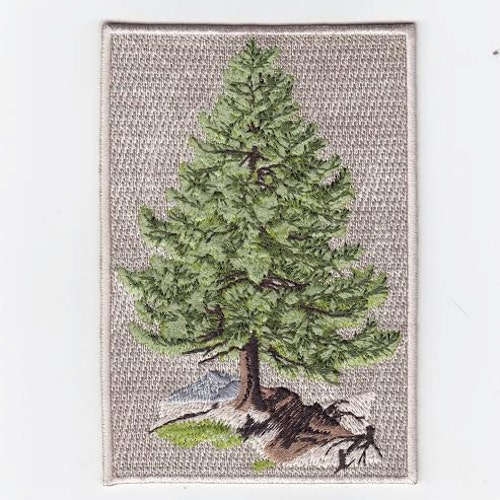 Nature Pine Tree Patch - Etsy