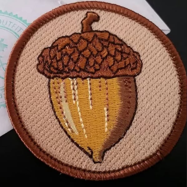 Acorn nature embroidered patch