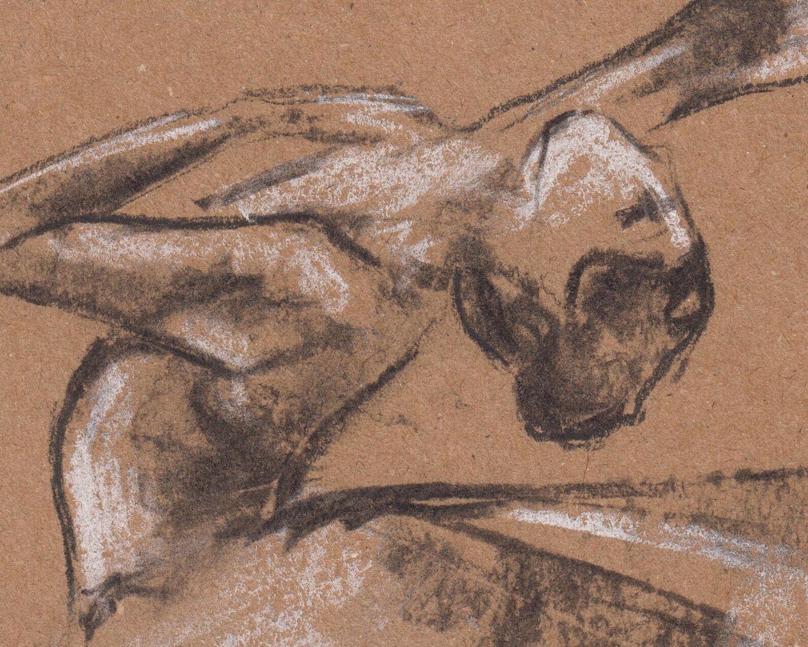 ballerina drawing. ballet drawing. ballerina illustration. ballerina dancing. ballet art. minimalistic art. charcoal drawing. or
