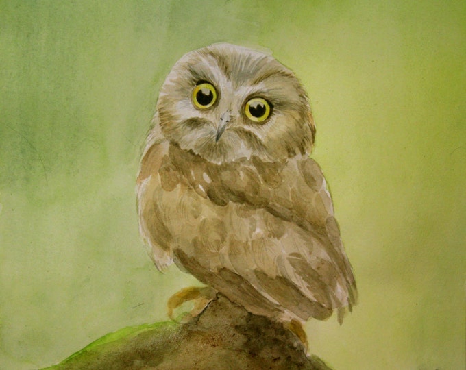 Baby Owl Painting. Baby Owl Illustration. Baby Owl Art. Baby Etsy
