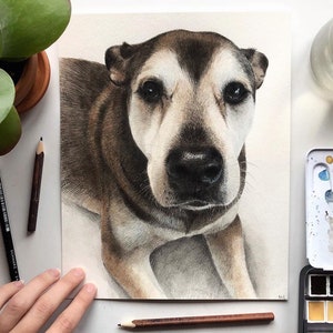 Custom pet portrait painting Hand painted watercolor animal painting Commission painting Painting from photo Pet memorial gift Pet drawing image 6