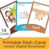 Farsi Flash Cards Printable - Persian Names for Animals - Instant ...