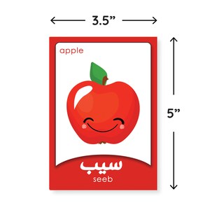 Farsi Flash Cards Printable Persian Names for Fruits and | Etsy