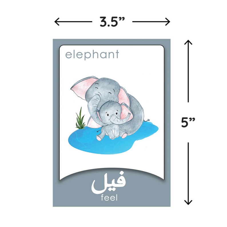 Farsi Flash Cards Printable Persian Names For Animals Etsy