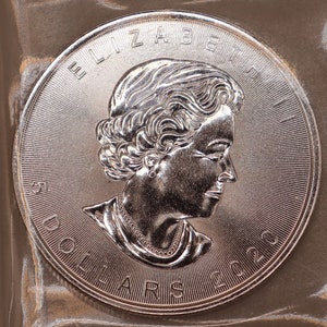2020 1 oz Canadian Silver Maple Leaf 5 Dollar Coin 9999 Fine Silver BU