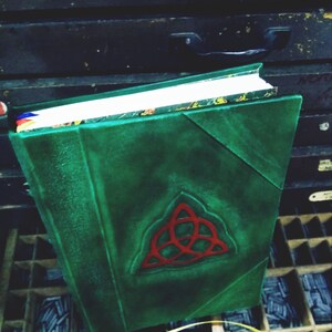 May include: A green leather-bound journal with a red, triangular symbol on the front cover. The journal is sitting on a wooden surface with a grid of compartments.