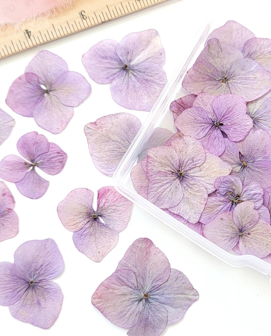 Pressed Hydrangeas Hydrangeas Pressed Flowers Pressed Etsy