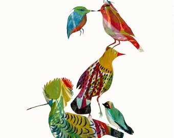 Affiche Ornithologie