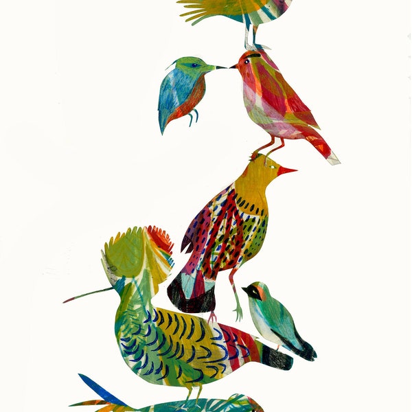 Affiche Ornithologie