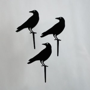 12 Raven Halloween Cupcake Toppers Acrylic image 3