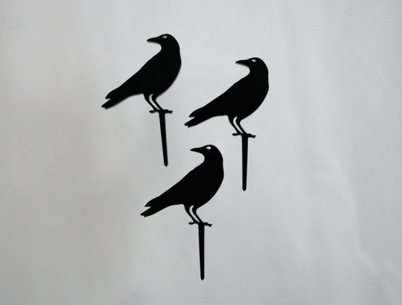 12 Raven Halloween Cupcake Toppers Acrylic image 3