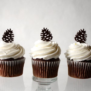 12 Pinecone Cupcake Toppers Acrylic image 1