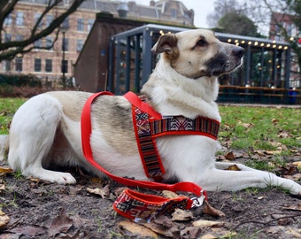 SET, Dog Harness and Leash Denim, MissFlo, Handmade, made to measure, Washable, Easy on and off, Red, Brown