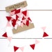 see more listings in the Mini Bunting Garlands section