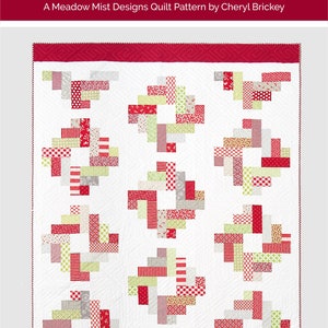 Celebrate With Quilts - Pattern Book by Lissa Alexander and Susan Ache -  9798986060644