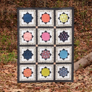 May include: A black and white quilt with a geometric pattern. The quilt has 12 squares, each with a different coloured circle in the centre. The circles are red, orange, yellow, green, blue, purple, pink, brown, black, white, grey, and teal.