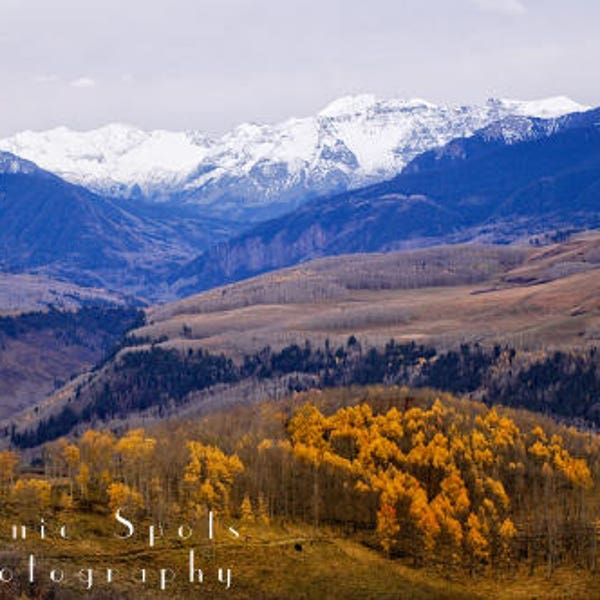 Fall, Panorama, Golden, Aspens, Snowy, Peaks, San Juan, Rocky Mountains, Colorado - Fine Art Photograph