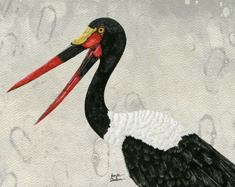 Saddle-billed Stork Quinn Art Print. Version 2