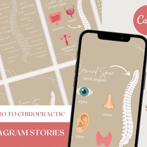 Intro to Chiropractic - Chiropractic Instagram Story Graphics