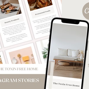 The Toxin Free Home - Chiropractic Instagram Story Graphics