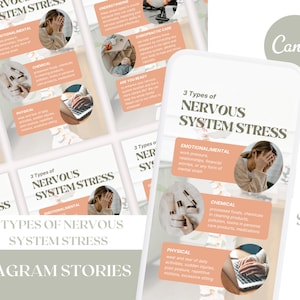 3 Types of Nervous System Stress - Chiropractic Instagram Story Graphics