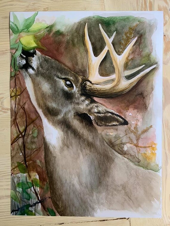Whitetail Buck PrintWildlife ArtworkAdirondack Art Print Etsy