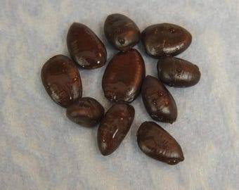 10 Pawpaw Seeds!  Cold Stratified. Premium Lineage.