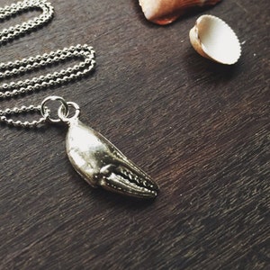 Silver Crab Claw Necklace Seashell Necklace Port Isaac Cornwall Crab Claw Jewellery image 3