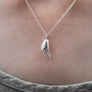 Silver Crab Claw Necklace Seashell Necklace Port Isaac Cornwall Crab Claw Jewellery image 2