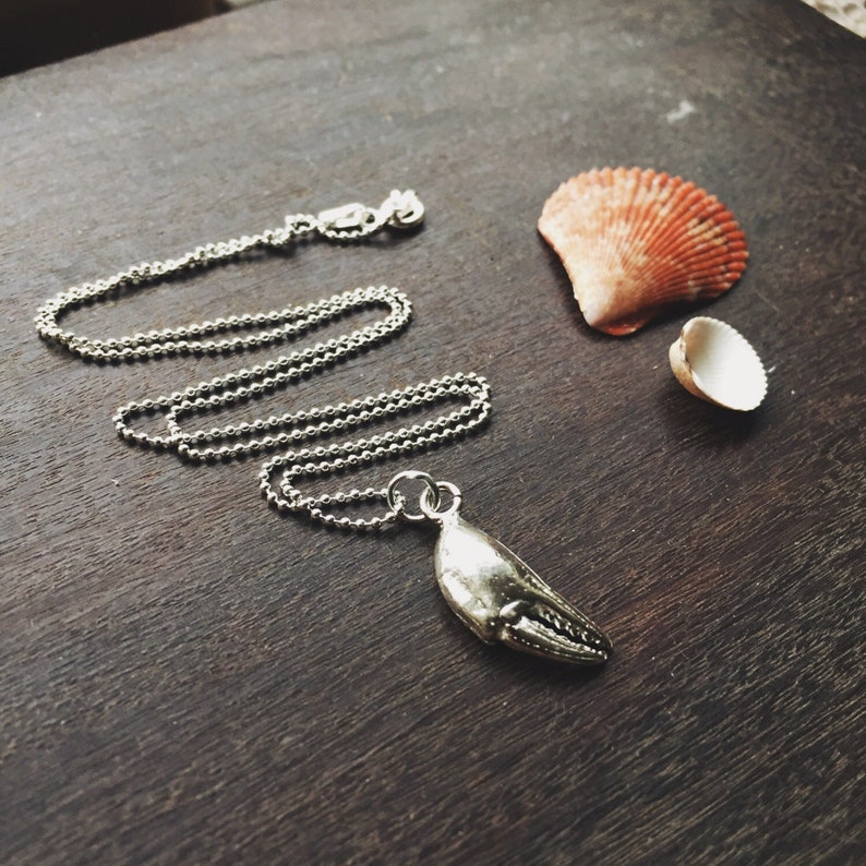 Silver Crab Claw Necklace Seashell Necklace Port Isaac Cornwall Crab Claw Jewellery image 3