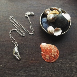 Silver Crab Claw Necklace Seashell Necklace Port Isaac Cornwall Crab Claw Jewellery image 4