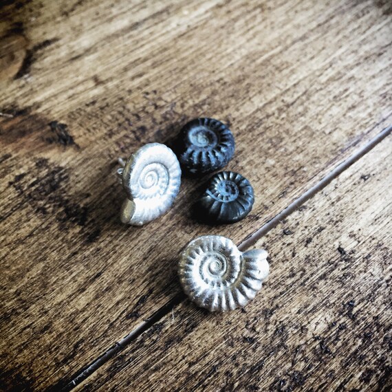 Sterling Silver Ammonite Earrings 