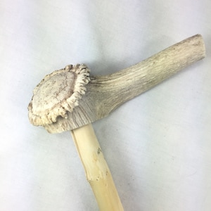 Vintage Cane, Walking Stick, with Antler handle