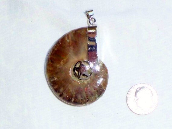 Estate Large Ammonite Full Shell Iridescent Rainb… - image 2