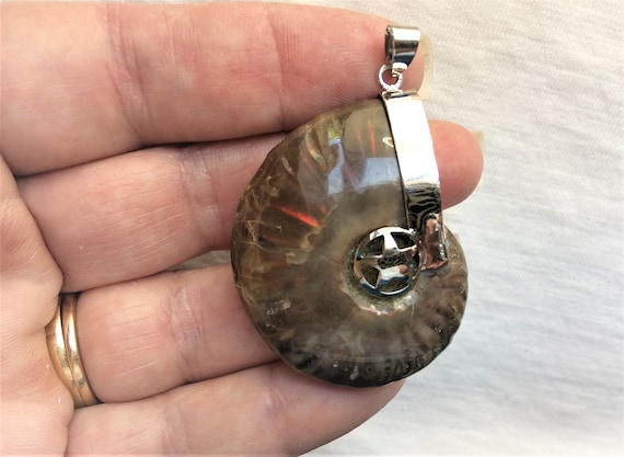 Estate Large Ammonite Full Shell Iridescent Rainb… - image 1