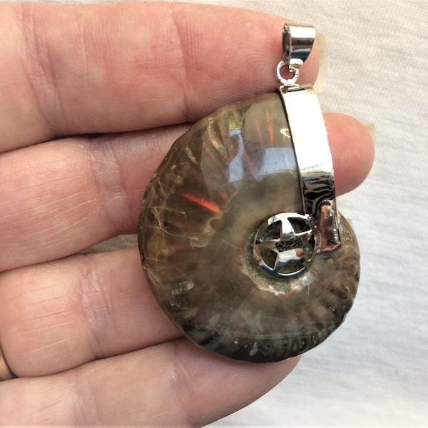 Estate Large Ammonite Full Shell Iridescent Rainbow Pendant Star 2" Long Silver Vintage for Necklace Statement Fossil Sparkle Flash Large