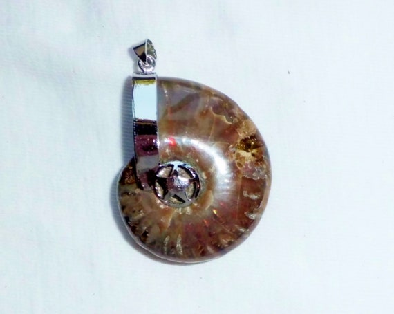 Estate Large Ammonite Full Shell Iridescent Rainb… - image 4